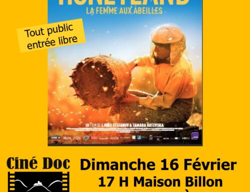 HONEYLAND le 16 février à 17h à PAILHARES