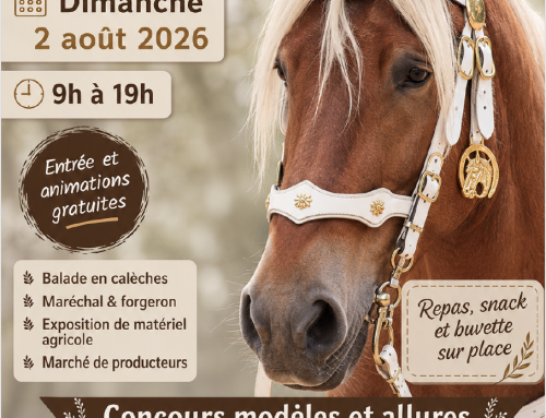 🐴 12ᵉ Fête du Cheval de Trait à Éclassan : Rendez-vous le dimanche 2 août 2026 !